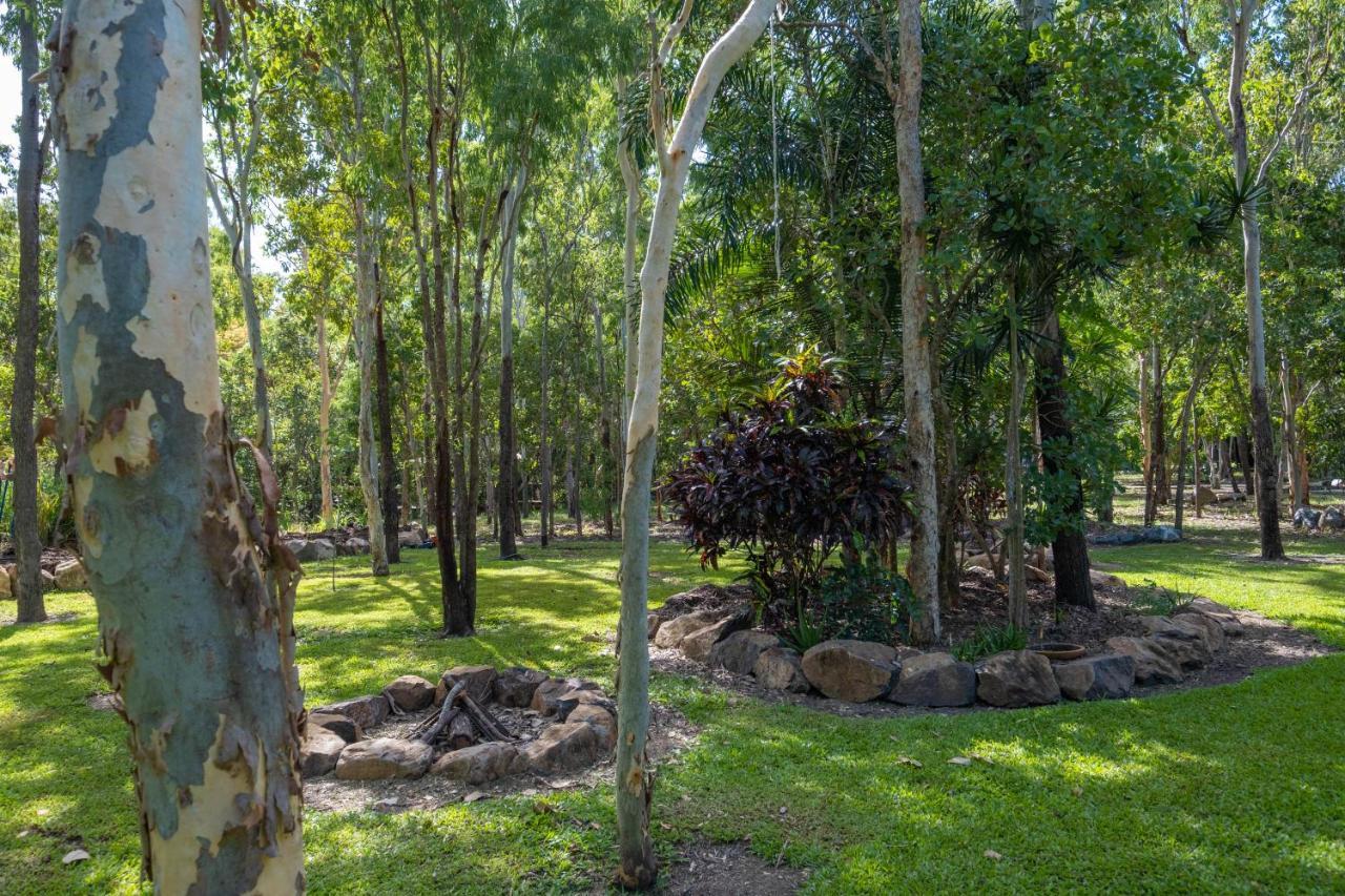 Airlie Beach Eco Cabins - Adults Only Luaran gambar