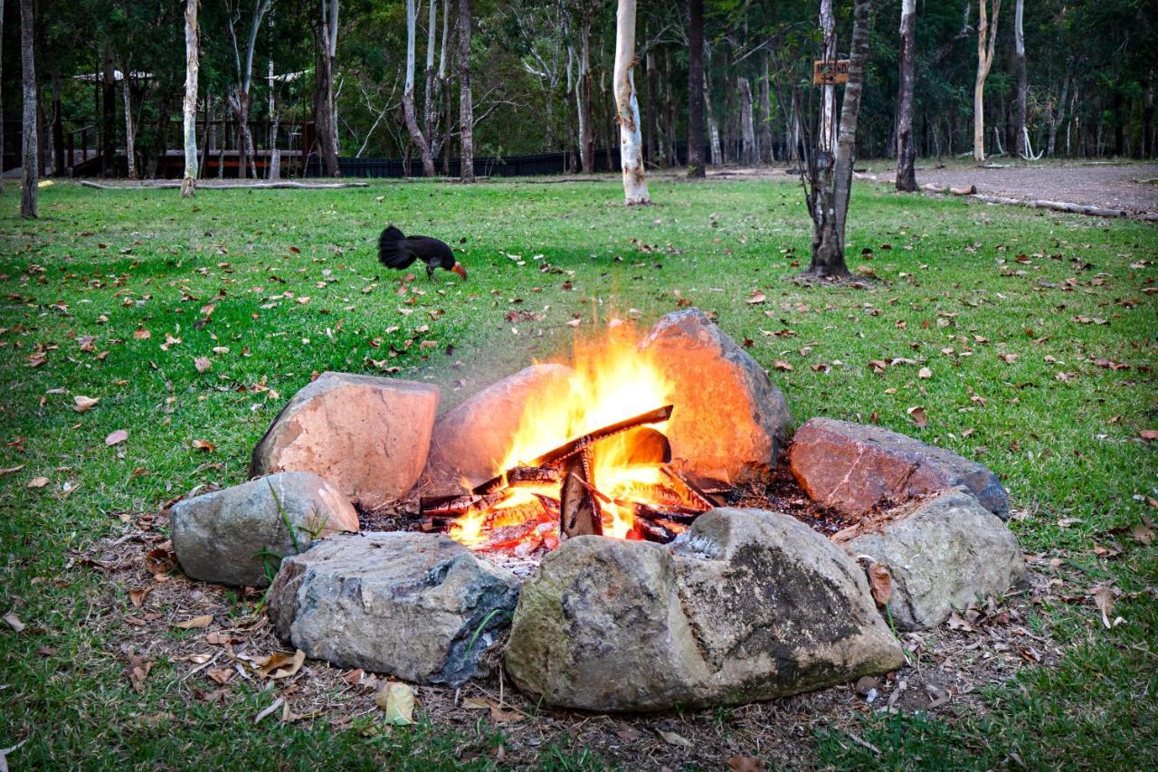 Airlie Beach Eco Cabins - Adults Only Luaran gambar