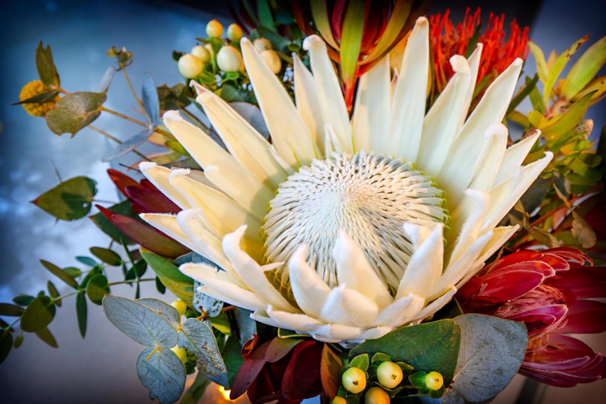 Airlie Beach Eco Cabins - Adults Only Luaran gambar