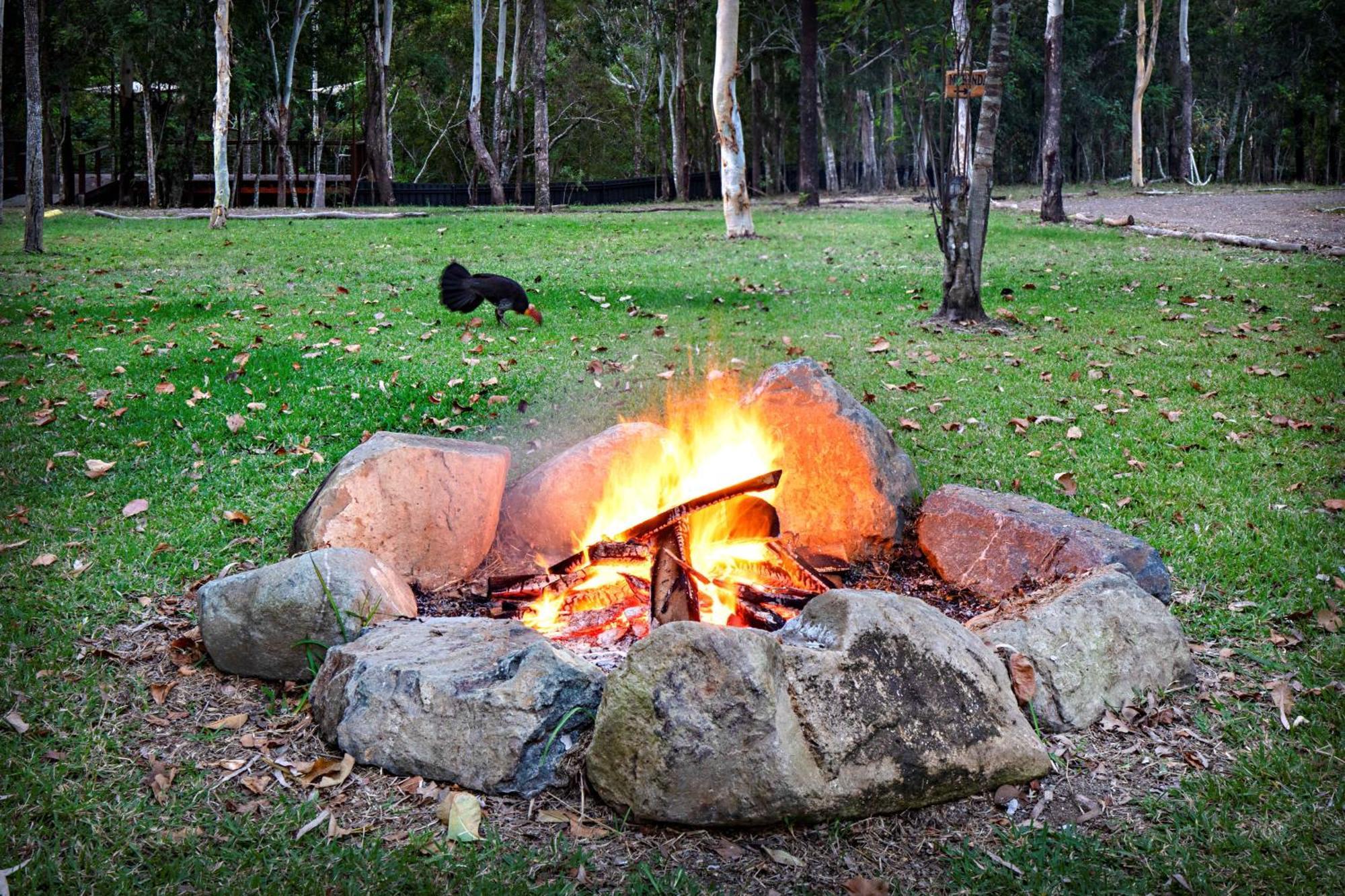 Airlie Beach Eco Cabins - Adults Only Luaran gambar